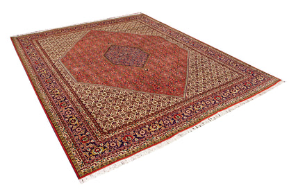 Persian Rug  (9'8 x 8'3 feet)